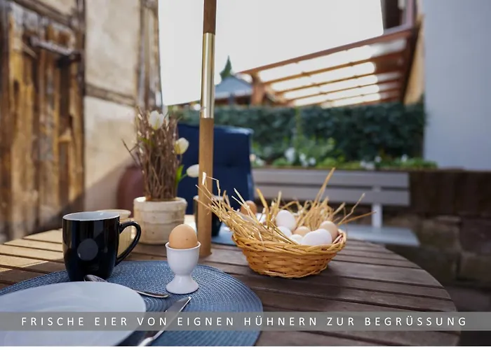 Leinetal Mit Kamin & Kaminholz, 1-3 Personen , Schlafzimmer Mit Boxspringbett 180x200 & Hochwertige Hotelbettwaesche, Bequemes Einzelbett Im Wohnzimmer, Terrasse, Einbaukueche, Northeim
